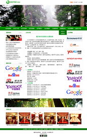 事业单位网站建设新标杆 从原型到惊艳的可视化之路